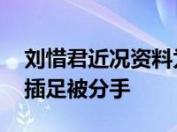刘惜君近况资料为什么被雪藏 与男友因小三插足被分手