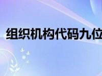 组织机构代码九位（组织机构代码填那9位）