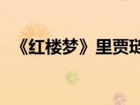 《红楼梦》里贾琏和妹妹迎春的关系如何？