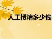 人工授精多少钱一次（人工受精多少钱）