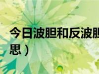 今日波胆和反波胆是什么意思（波胆是什么意思）