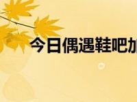今日偶遇鞋吧加盟多少钱（偶遇鞋吧）