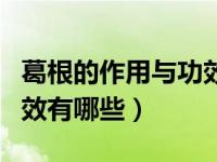 葛根的作用与功效吃法大全（葛根的作用与功效有哪些）