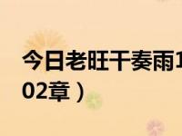 今日老旺干奏雨102章-180张（老旺干奏雨102章）