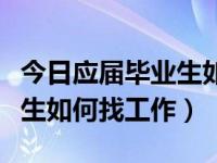 今日应届毕业生如何能进入外交部（应届毕业生如何找工作）