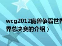 wcg2012魔兽争霸世界总决赛（关于wcg2012魔兽争霸世界总决赛的介绍）
