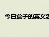 今日盒子的英文怎么写单词（盒子的英文）