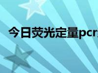 今日荧光定量pcr结果解读（荧光定量pcr）