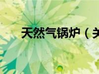 天然气锅炉（关于天然气锅炉的介绍）