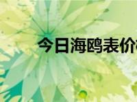 今日海鸥表价格大全机械表（海鸥）