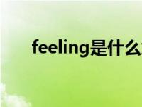 feeling是什么意思（feeling的含义）