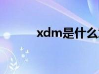 xdm是什么意思（xdm的解释）