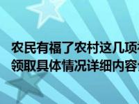 农民有福了农村这几项补贴直补到户 符合条件都能享受赶紧领取具体情况详细内容介绍