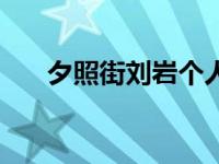 夕照街刘岩个人资料（刘岩个人资料）