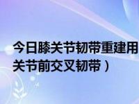 今日膝关节韧带重建用的钉子（关节镜下横穿钉固定重建膝关节前交叉韧带）