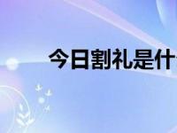 今日割礼是什么意思（割礼是什么）