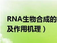 RNA生物合成的抑制剂（RNA抑制剂有哪些及作用机理）