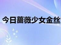 今日蔷薇少女金丝雀图片（蔷薇少女金丝雀）