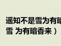 遥知不是雪为有暗香来描写的什么（遥知不是雪 为有暗香来）