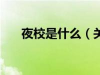 夜校是什么（关于夜校是什么的介绍）