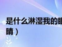 是什么淋湿我的眼睛是（是什么淋湿了你的眼睛）