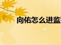 向佑怎么进监狱的（向佑怎么死的）