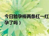 今日验孕棒两条杠一红一蓝是怀孕吗（验孕棒一红一白是怀孕了吗）