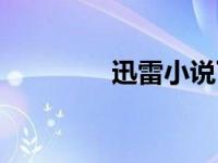 迅雷小说下载（迅雷小说）