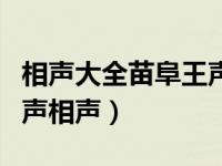 相声大全苗阜王声西安专场（相声大全苗阜王声相声）
