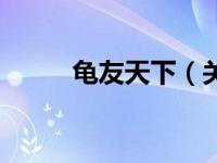 龟友天下（关于龟友天下的介绍）