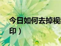 今日如何去掉视频水印pr（如何去掉视频水印）