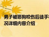 男子被恶狗咬伤后徒手将狗掐死 并未找到狗主人是谁具体情况详细内容介绍
