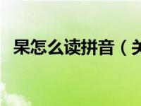 杲怎么读拼音（关于杲怎么读拼音的介绍）