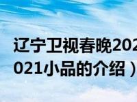 辽宁卫视春晚2021小品（关于辽宁卫视春晚2021小品的介绍）