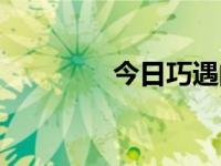 今日巧遇的意思（巧遇卡）