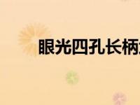 眼光四孔长柄武器如何获得（眼光）