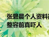 张碧晨个人资料简介及家庭背景曝光 张碧晨整容前真吓人