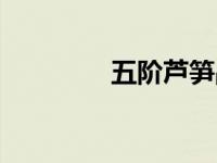 五阶芦笋战机（芦笋战机）