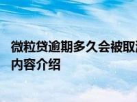 微粒贷逾期多久会被取消分期资格 与额度有关具体情况详细内容介绍