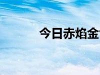 今日赤焰金龟图片（赤焰金龟）