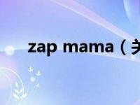 zap mama（关于zap mama的介绍）