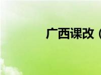 广西课改（广西课改网官网）