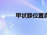 甲状腺位置真人图（甲状腺位置）