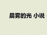 晨雾的光 小说（晨雾的光的全部小说）