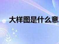 大样图是什么意思（大样图是什么意思）
