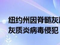 纽约州因脊髓灰质炎病毒进入紧急状态,脊髓灰质炎病毒侵犯
