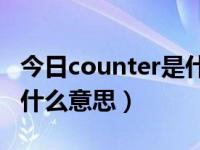 今日counter是什么意思英语（COUNTER是什么意思）