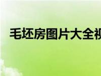 毛坯房图片大全视频（毛坯房图片无水印）