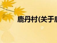 鹿丹村(关于鹿丹村当前房价介绍) 