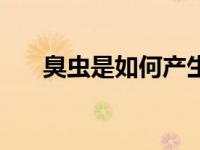 臭虫是如何产生（臭虫是怎么产生的）